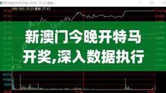 新澳门今晚开特马开奖,深入数据执行计划_精英款10.975
