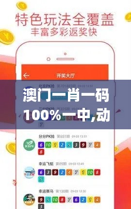 澳门一肖一码100%一中,动态调整策略执行_运动版7.130