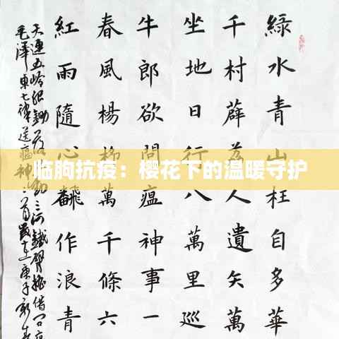 临朐抗疫：樱花下的温暖守护