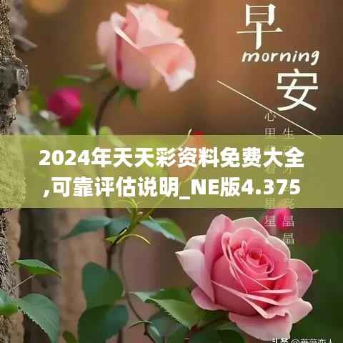 2024年天天彩资料免费大全,可靠评估说明_NE版4.375