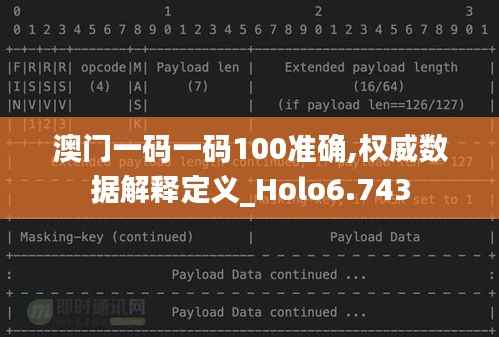 澳门一码一码100准确,权威数据解释定义_Holo6.743