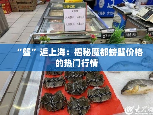 “蟹”逅上海：揭秘魔都螃蟹价格的热门行情