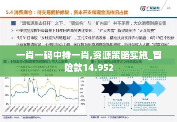 一肖一码中持一肖,资源策略实施_冒险款14.952