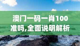 澳门一码一肖100准吗,全面说明解析_动态版44.913