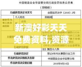 新澳好彩天天免费资料,资源整合实施_经典版8.917