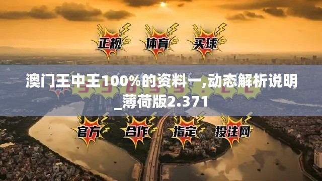 澳门王中王100%的资料一,动态解析说明_薄荷版2.371