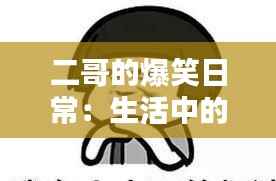 二哥的爆笑日常：生活中的“笑果”制造机