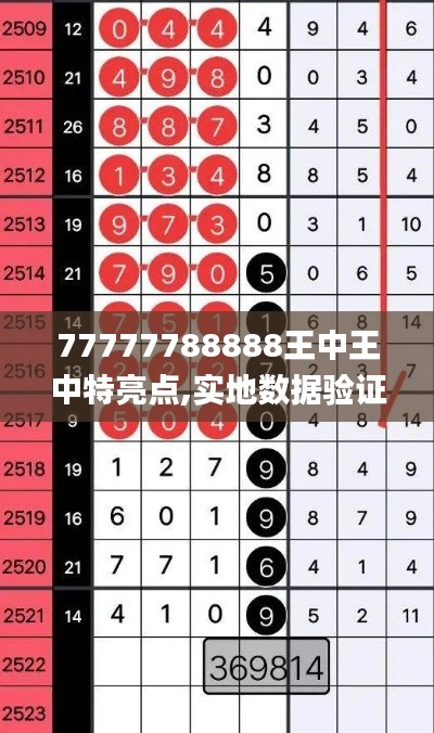 77777788888王中王中特亮点,实地数据验证实施_豪华款4.955