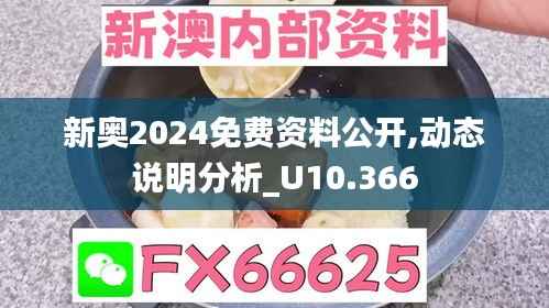 新奥2024免费资料公开,动态说明分析_U10.366