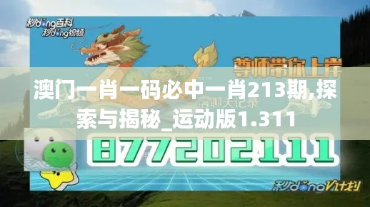 澳门一肖一码必中一肖213期,探索与揭秘_运动版1.311