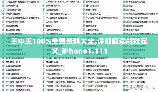 王中王100%免费资料大全,详细解读解释定义_iPhone1.111