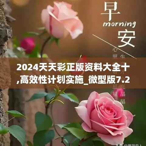 2024天天彩正版资料大全十,高效性计划实施_微型版7.247