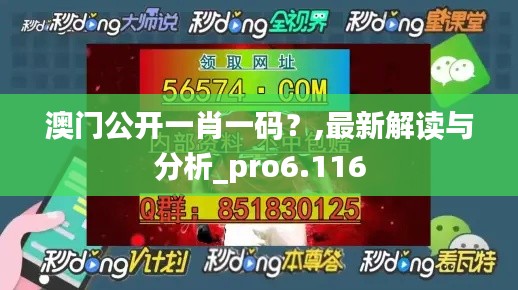 澳门公开一肖一码？,最新解读与分析_pro6.116