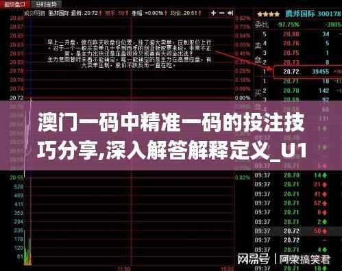 澳门一码中精准一码的投注技巧分享,深入解答解释定义_U10.592