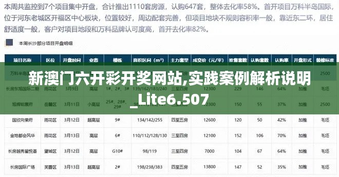 新澳门六开彩开奖网站,实践案例解析说明_Lite6.507
