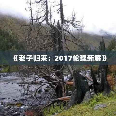 《老子归来：2017伦理新解》