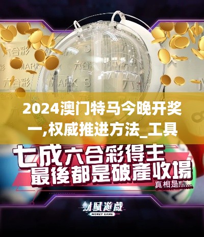 2024澳门特马今晚开奖一,权威推进方法_工具版6.413