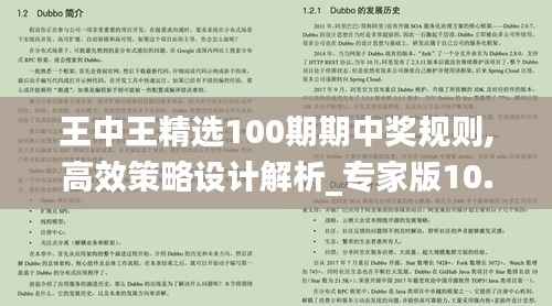 王中王精选100期期中奖规则,高效策略设计解析_专家版10.610