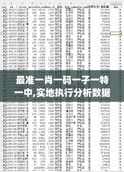 最准一肖一码一孑一特一中,实地执行分析数据_社交版2.766