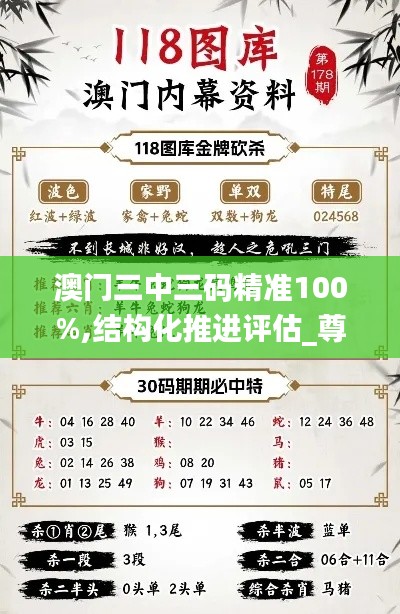 澳门三中三码精准100%,结构化推进评估_尊享版6.791