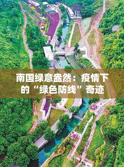 南国绿意盎然：疫情下的“绿色防线”奇迹