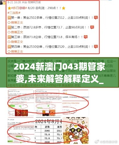 2024新澳门043期管家婆,未来解答解释定义_The10.167
