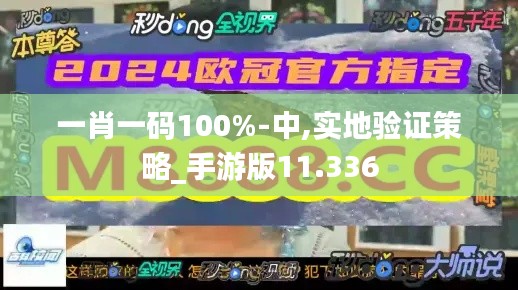 一肖一码100%-中,实地验证策略_手游版11.336