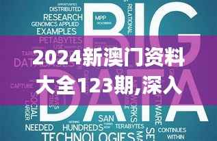 2024新澳门资料大全123期,深入设计数据解析_精英版6.539