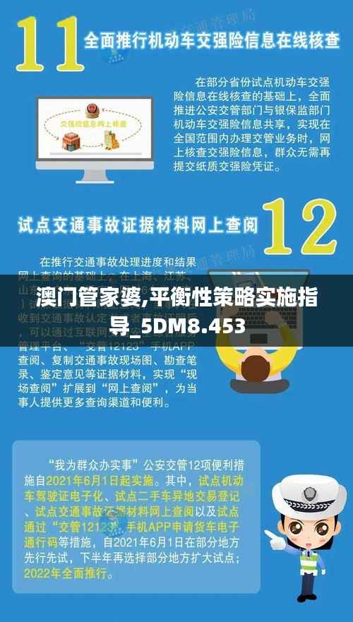 澳门管家婆,平衡性策略实施指导_5DM8.453