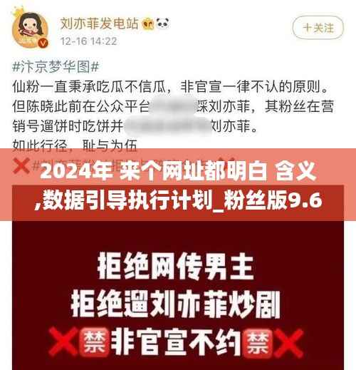 2024年 来个网址都明白 含义,数据引导执行计划_粉丝版9.686