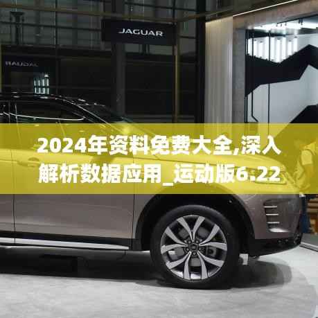 2024年资料免费大全,深入解析数据应用_运动版6.223