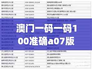 澳门一码一码100准确a07版,精细解析评估_W4.395