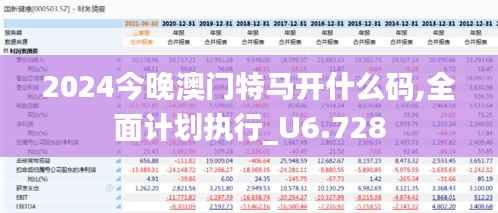 2024今晚澳门特马开什么码,全面计划执行_U6.728