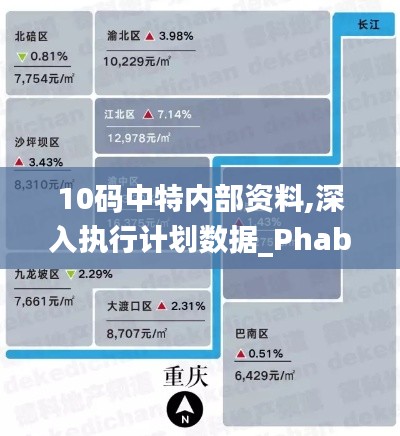 10码中特内部资料,深入执行计划数据_Phablet8.961