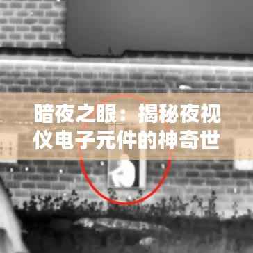 悠然自得 第5页