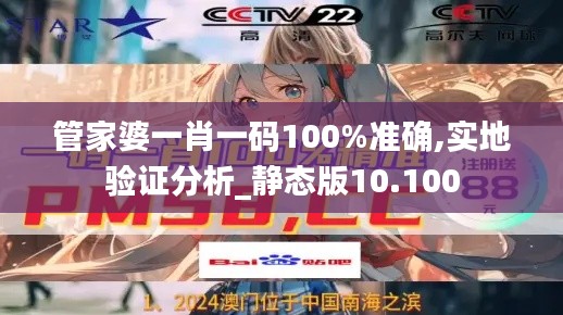管家婆一肖一码100%准确,实地验证分析_静态版10.100