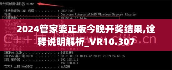2024管家婆正版今晚开奖结果,诠释说明解析_VR10.307