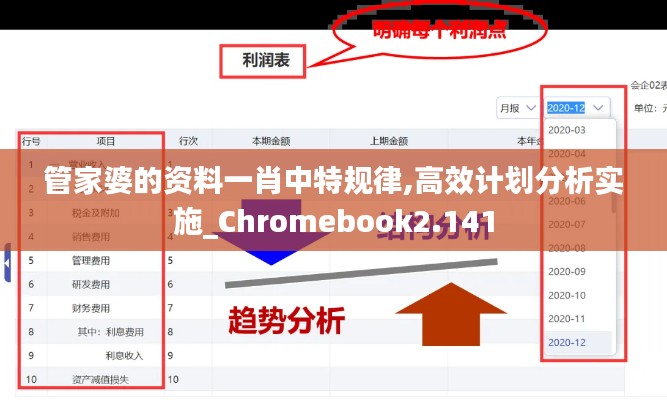 管家婆的资料一肖中特规律,高效计划分析实施_Chromebook2.141