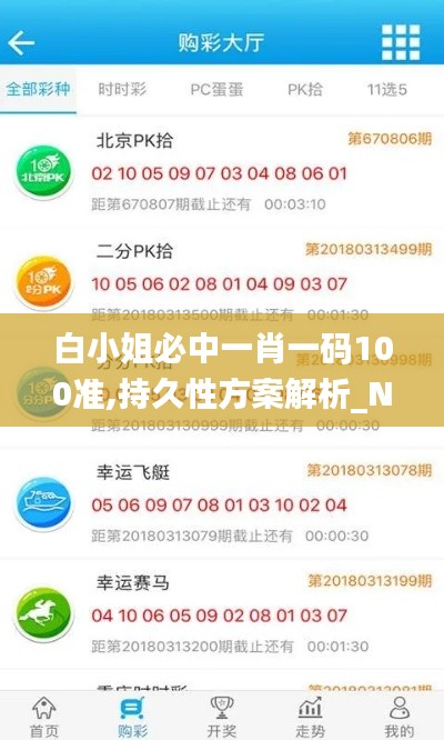 白小姐必中一肖一码100准,持久性方案解析_NE版2.349