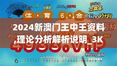 2024新澳门王中王资料,理论分析解析说明_3K16.619