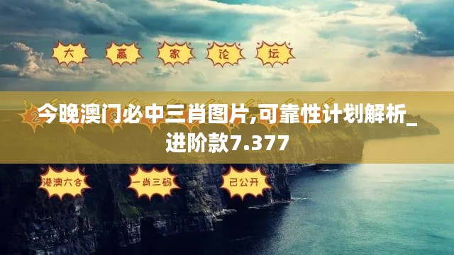 今晚澳门必中三肖图片,可靠性计划解析_进阶款7.377