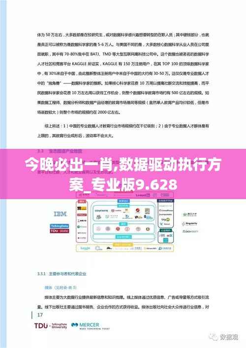 今晚必出一肖,数据驱动执行方案_专业版9.628