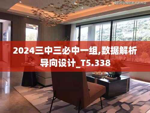 2024三中三必中一组,数据解析导向设计_T5.338