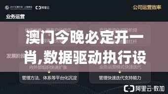 澳门今晚必定开一肖,数据驱动执行设计_视频版4.432