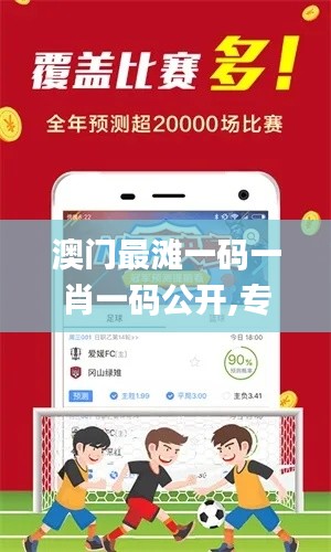 澳门最滩一码一肖一码公开,专业解答执行_zShop10.219