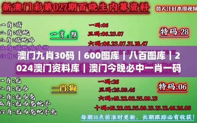 澳门九肖30码｜600图库｜八百图库｜2024澳门资料库｜澳门今晚必中一肖一码｜永久免,未来规划解析说明_RX版9.311