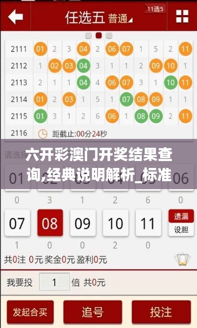六开彩澳门开奖结果查询,经典说明解析_标准版5.247