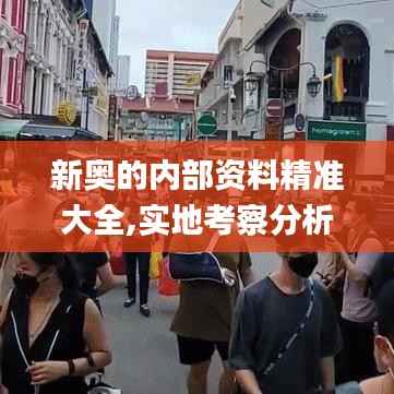 新奥的内部资料精准大全,实地考察分析_复刻款10.629