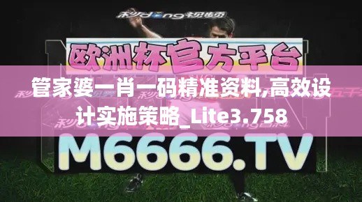 管家婆一肖一码精准资料,高效设计实施策略_Lite3.758