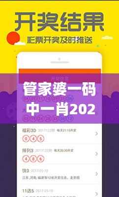 管家婆一码中一肖2024,深层设计解析策略_VR9.555